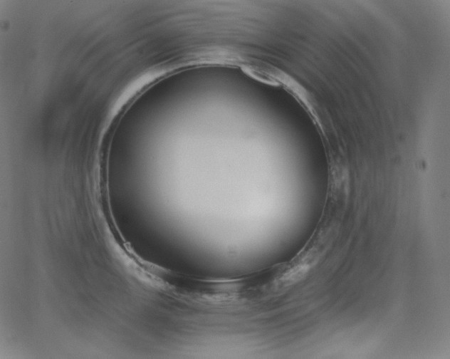 X0000068761147200604281206