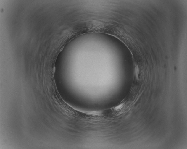 X0000068761153200604281205