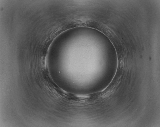 X0000068761156200604281205