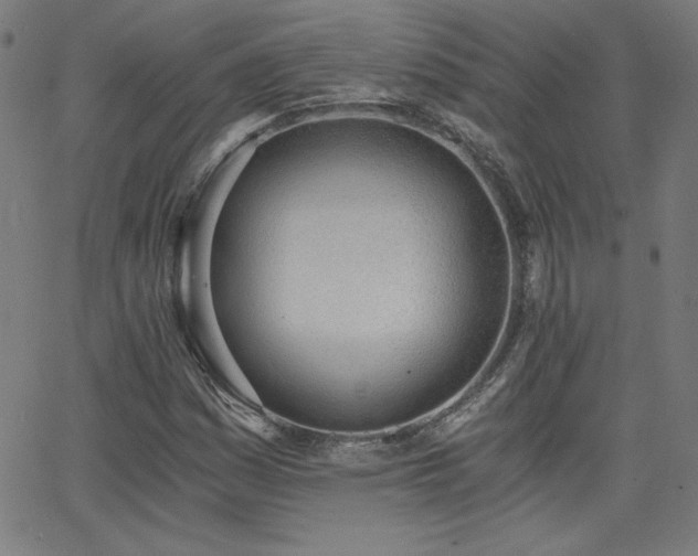 X0000068761161200604281205