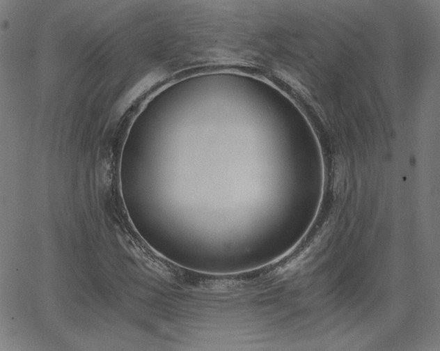 X0000068761163200604281205