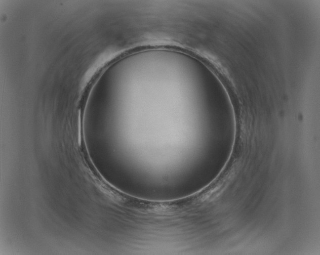 X0000068761175200604281205