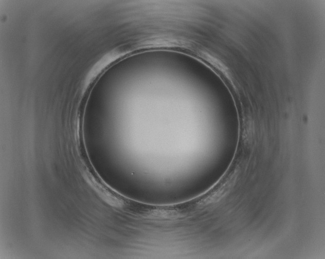 X0000068761179200604281205
