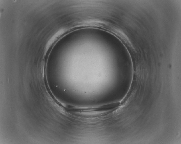 X0000068761180200604281205