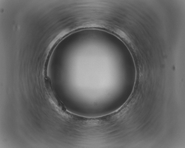 X0000068761181200604281205