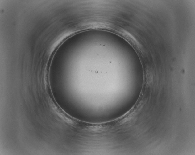 X0000068761182200604281205