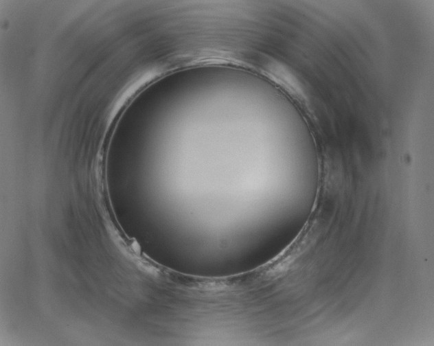 X0000068761190200604281205