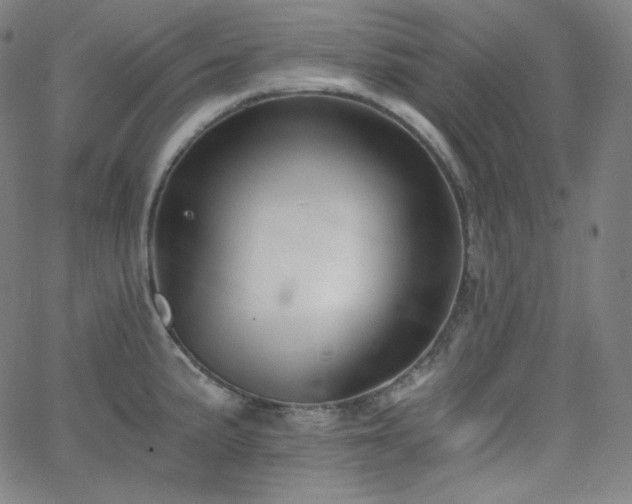 X0000068761191200604281205