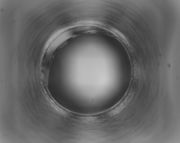 X0000068761192200604281204