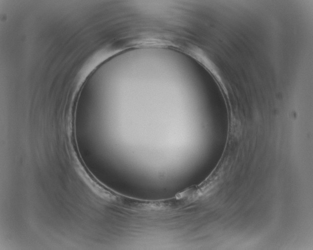 X0000068761195200604281204