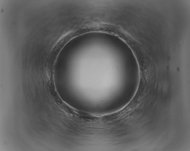 X0000068761206200604281204