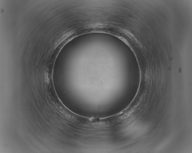 X0000068761209200604281204