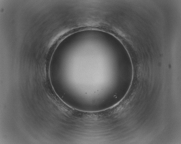 X0000068761214200604281204