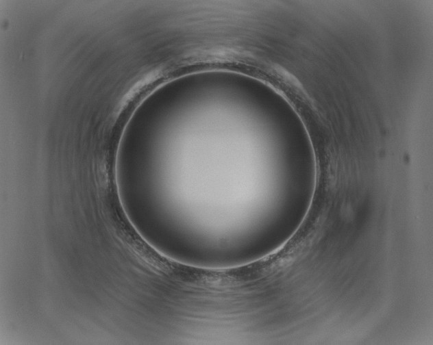 X0000068761218200604281204