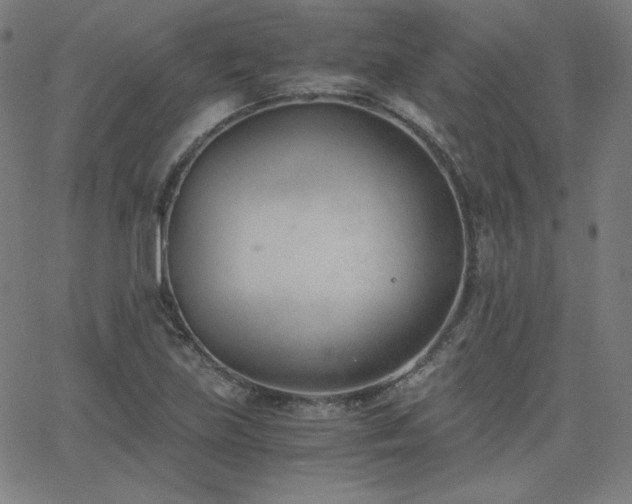 X0000068761219200604281204