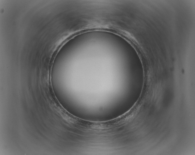 X0000068761220200604281204