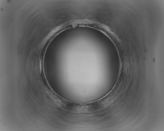 X0000068761221200604281204