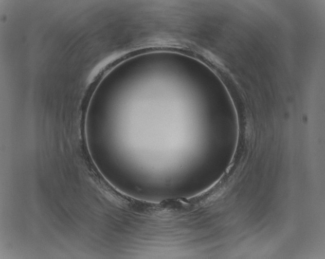 X0000068761222200604281204