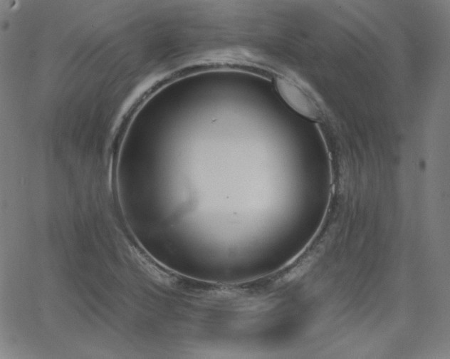 X0000068761224200604281204