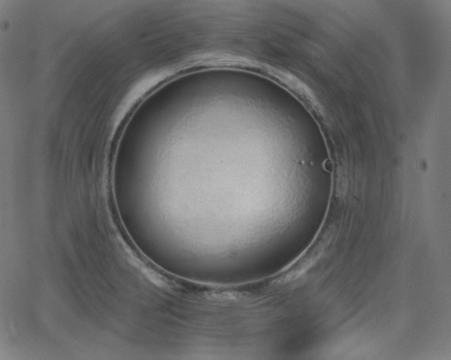 X0000068761231200604281204