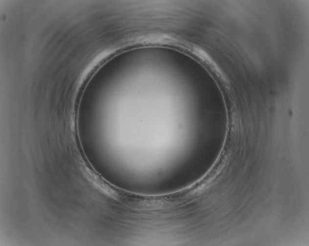 X0000068761232200604281204