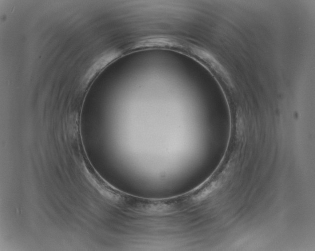 X0000068761233200604281204