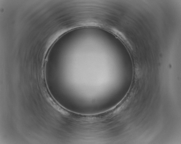 X0000068761236200604281204