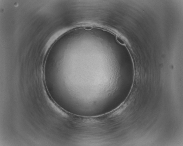 X0000068761239200604281204