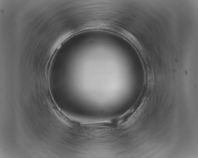 X0000068761242200604281204