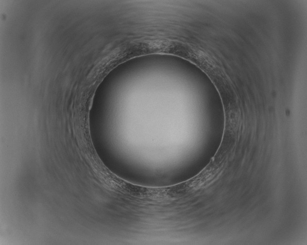 X0000068761249200604281204
