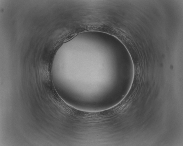 X0000068761252200604281204