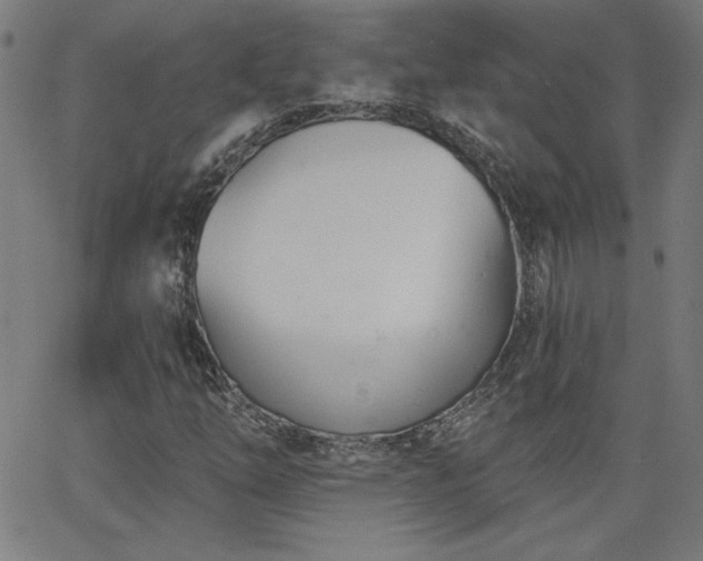 X0000068761254200604281203