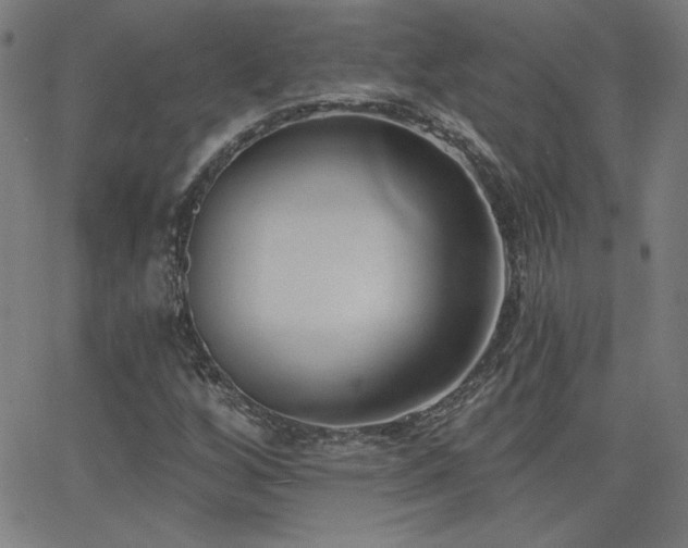 X0000068761256200604281203