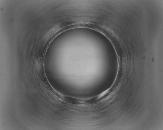 X0000068761257200604281203