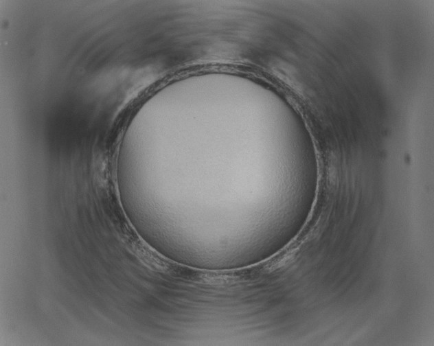 X0000068761258200604281203