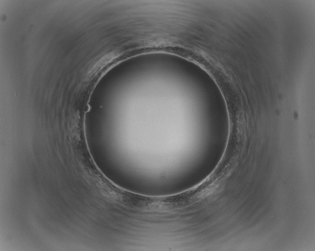 X0000068761265200604281203