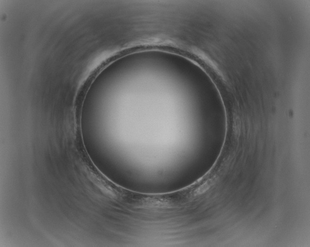 X0000068761270200604281203