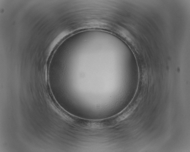 X0000068761275200604281203