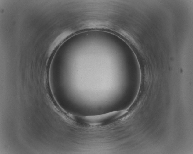 X0000068761277200604281203