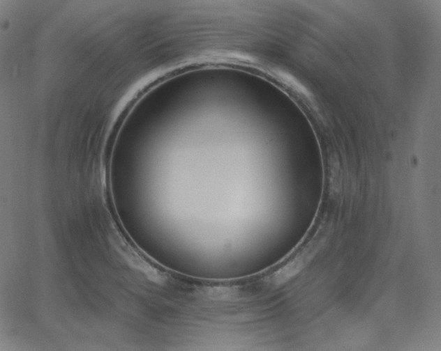 X0000068761280200604281203