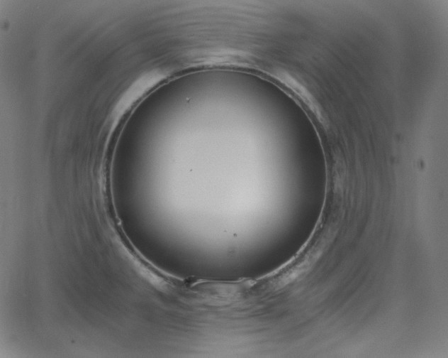 X0000068761285200604281203