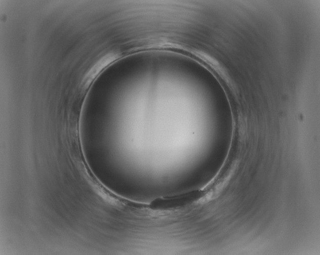 X0000068761289200604281203
