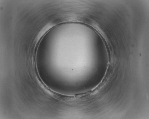 X0000068761293200604281203