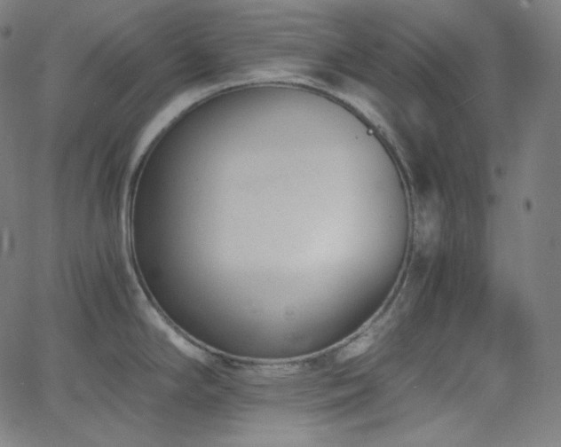 X0000068761294200604281203