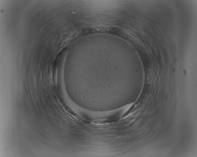 X0000068761298200604281202