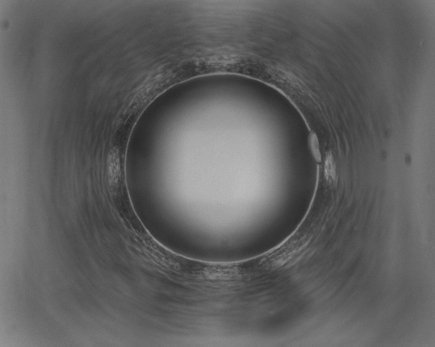 X0000068761299200604281202