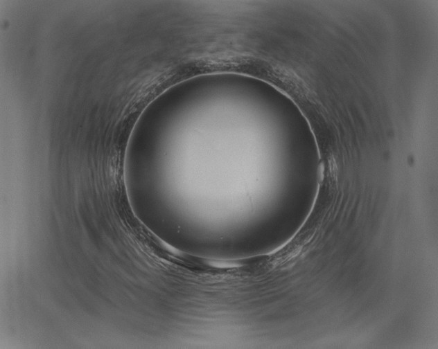 X0000068761300200604281202
