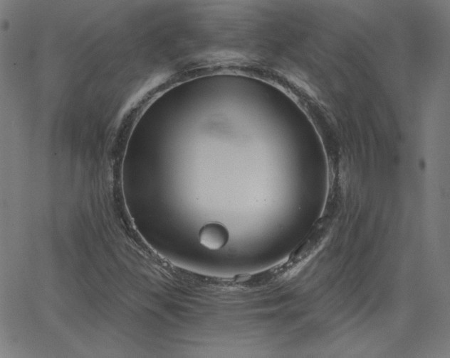 X0000068761309200604281202
