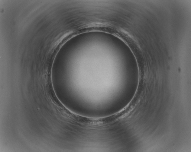 X0000068761313200604281202
