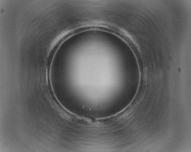 X0000068761320200604281202